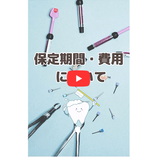 保定期間・費用について